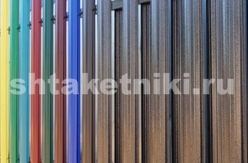 evroshtaketnik-cvet-antik